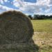 Round bale of hay in field