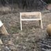 Chimenea and two benches on the edge of the woods