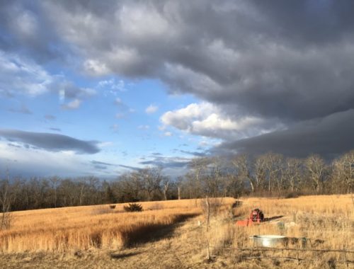 Storm clouds over field