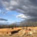 Storm clouds over field