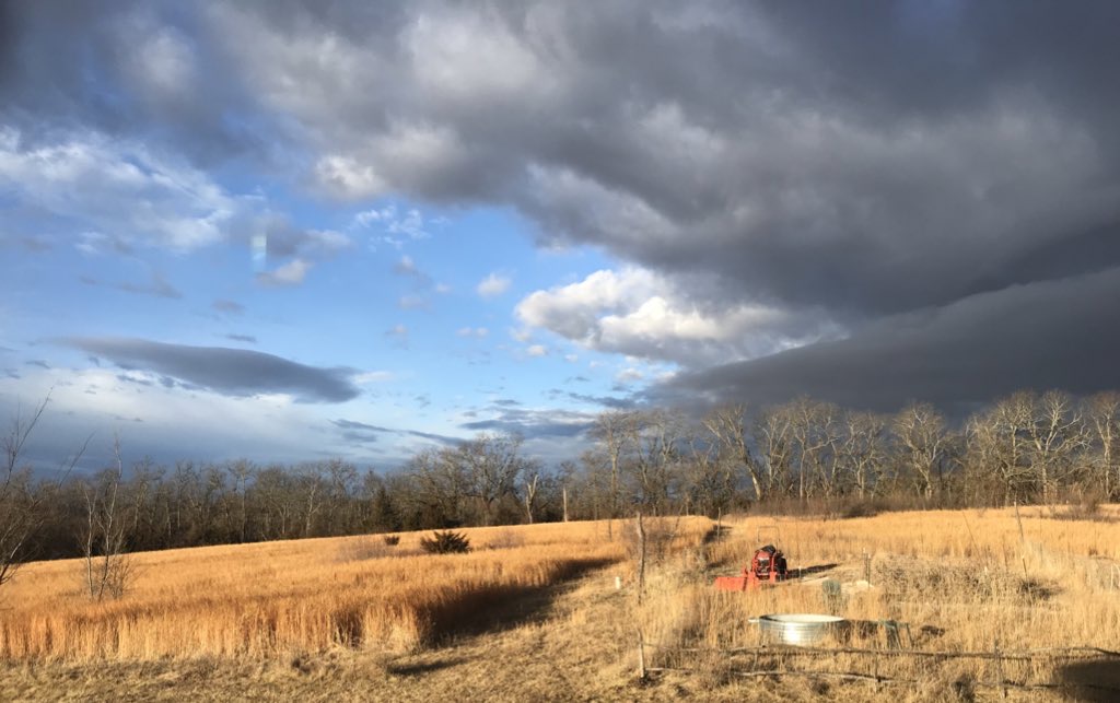 Storm clouds over field