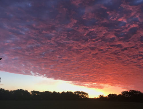 Sunrise, purple and pink clouds