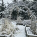 Snow-covered winter garden