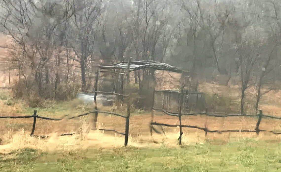 Rustic arbor seen through rain-streaked window