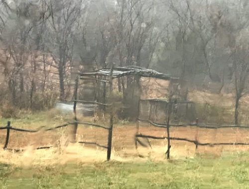 Rustic arbor seen through rain-streaked window