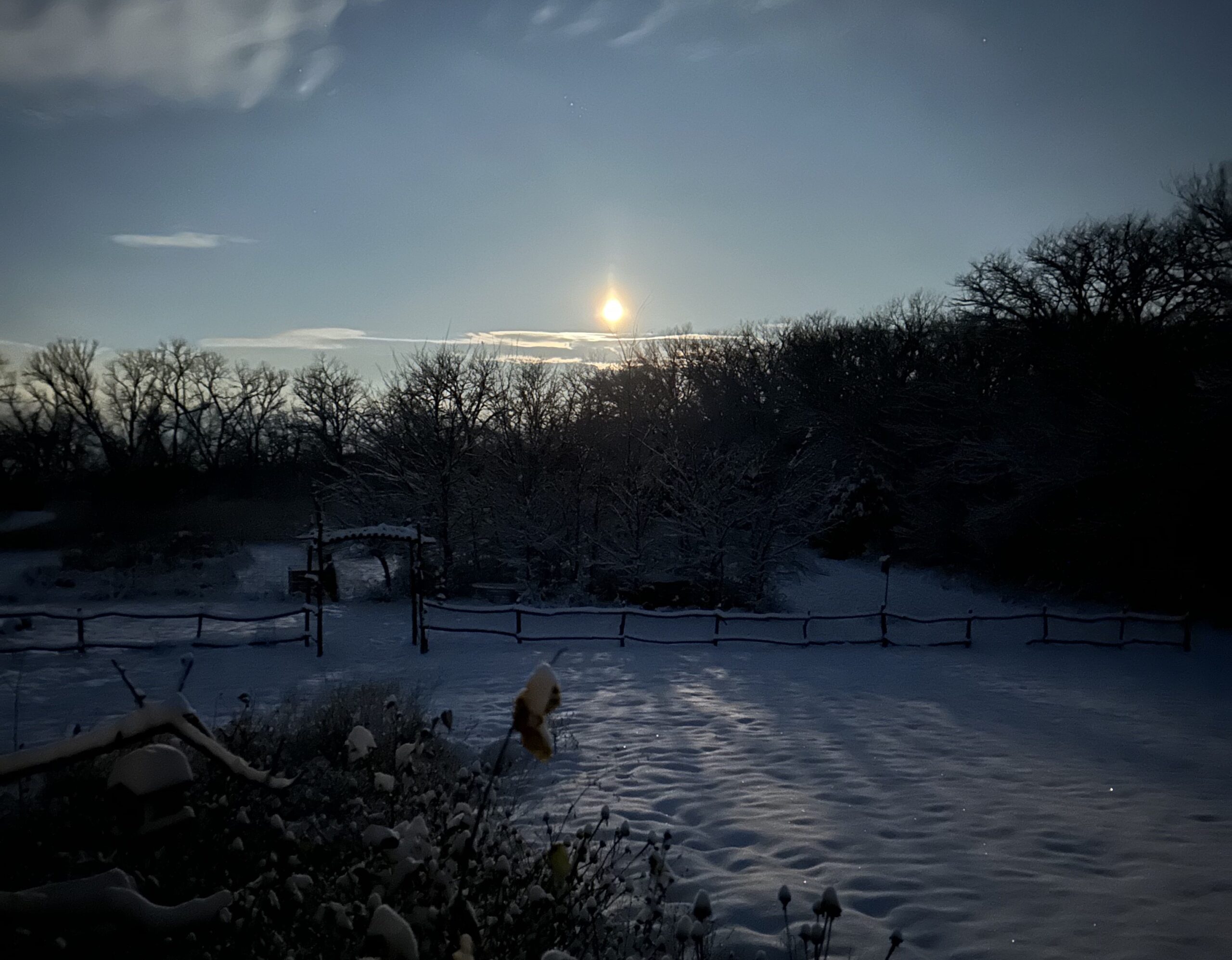 Moonlight on snow